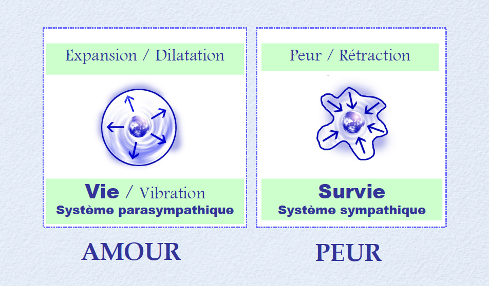 se libérer par l'énergétique - expansion, retraction